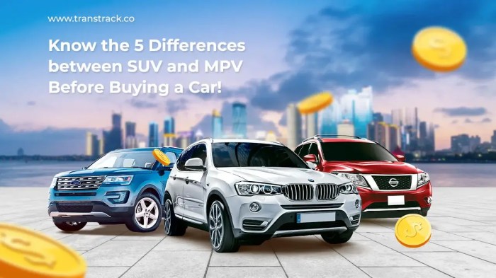 Mpv vs Mpv vs